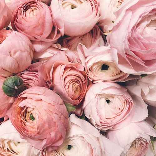 دانلود آهنگ های تو سوزی گل چویلی مو مجنونم تو لیلی